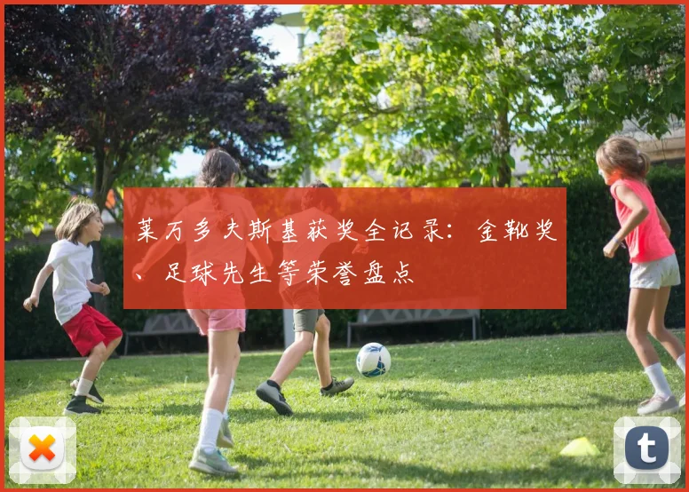 莱万多夫斯基获奖全记录：金靴奖、足球先生等荣誉盘点
