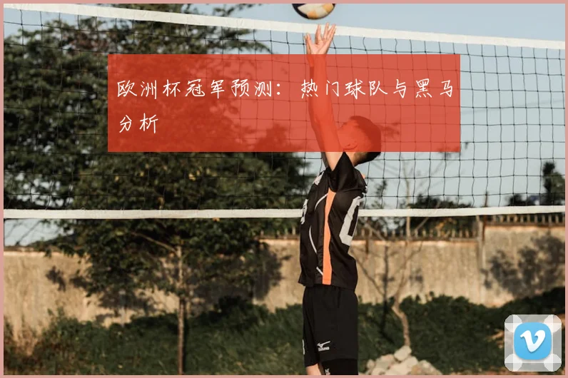 欧洲杯冠军预测：热门球队与黑马分析